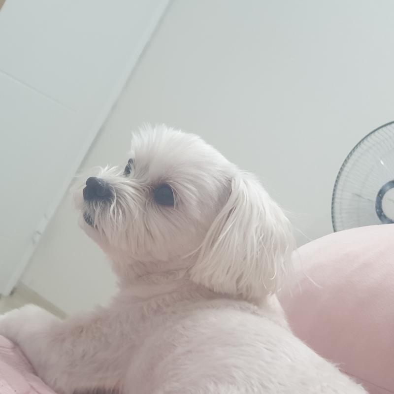 일단 말동무는 내가 납치했어 아...시밯 나 쌩얼인데...화장품도 거실에있능데...