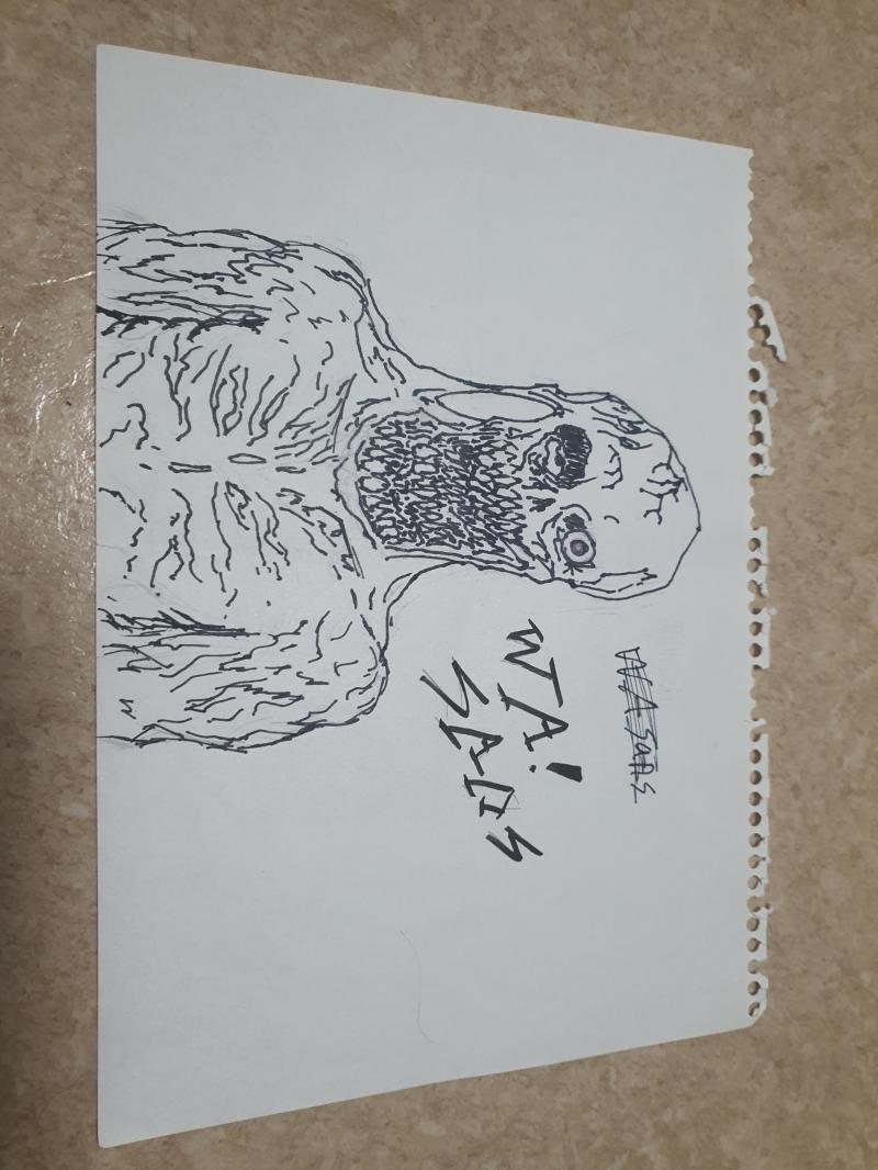 뒤틀린 황천의 와! 샌즈! 지랄이고, 픽시브에서 본거 대충 뇌에서 꺼내서 그림. 원래 고어하고 기괴한걸 더 잘그려서