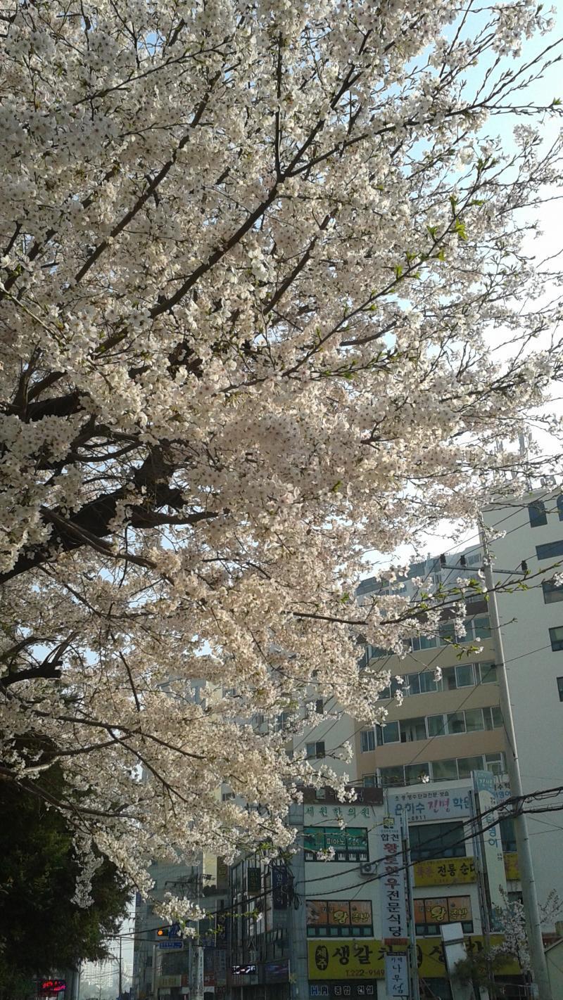 뀨?