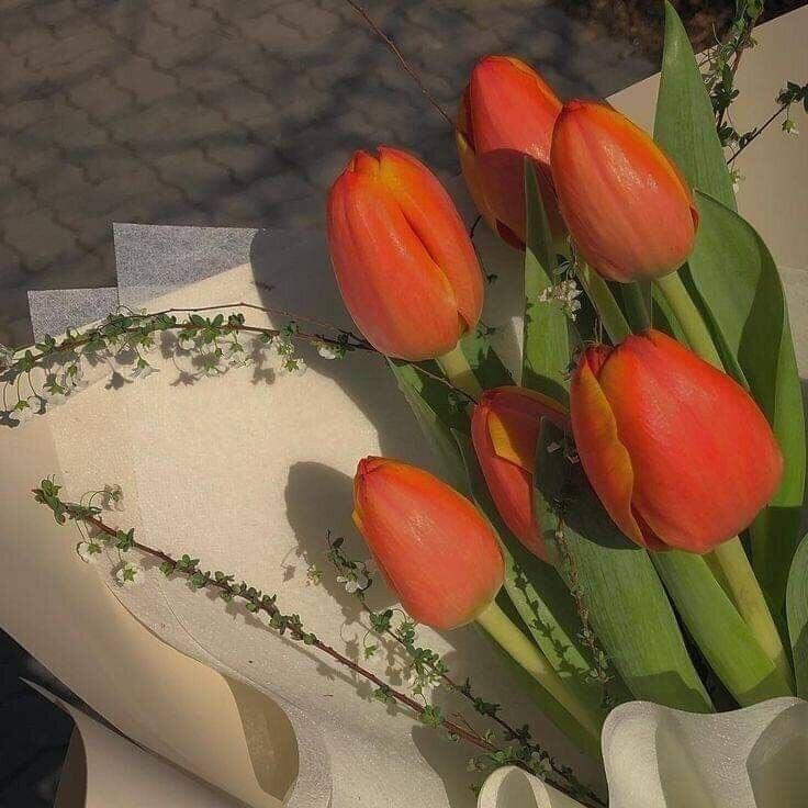 꽃!