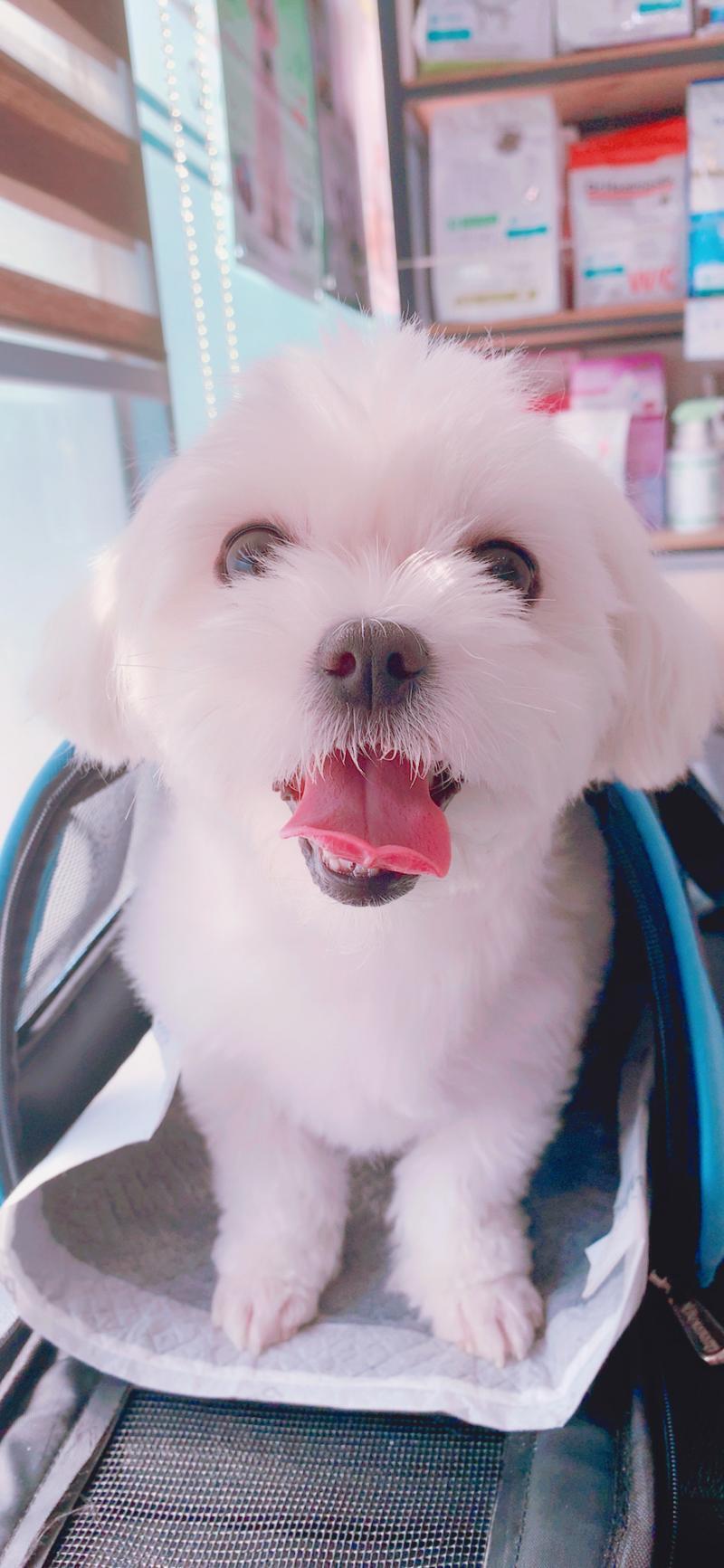 >>35 그래도 평소엔 귀여워 이건 엽사아냐 자랑용..?
