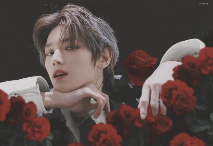 난리났다 엔가문 이씨들 이마크 이제노 이태용