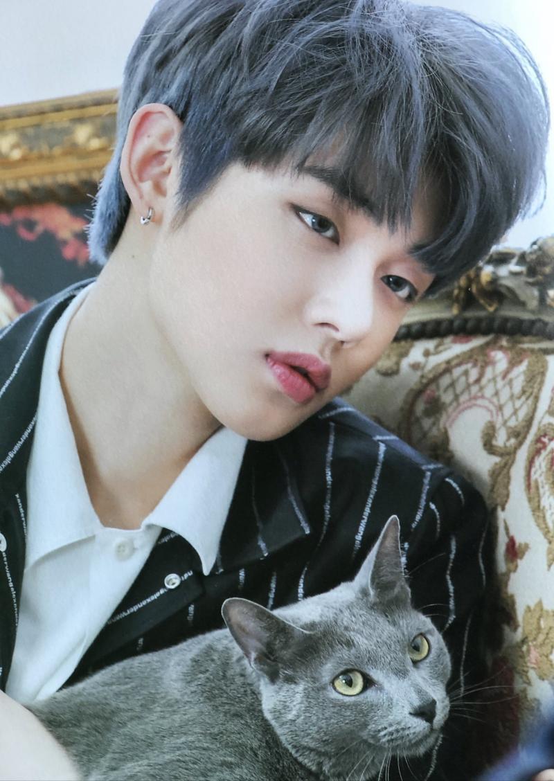 투모로우바이투게더 태현 연준 휴닝카이