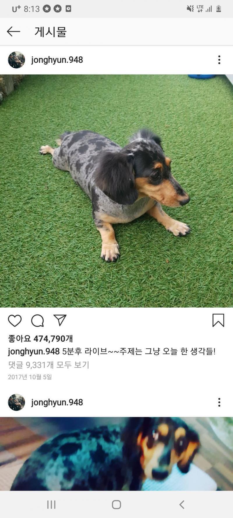 백반증이야?