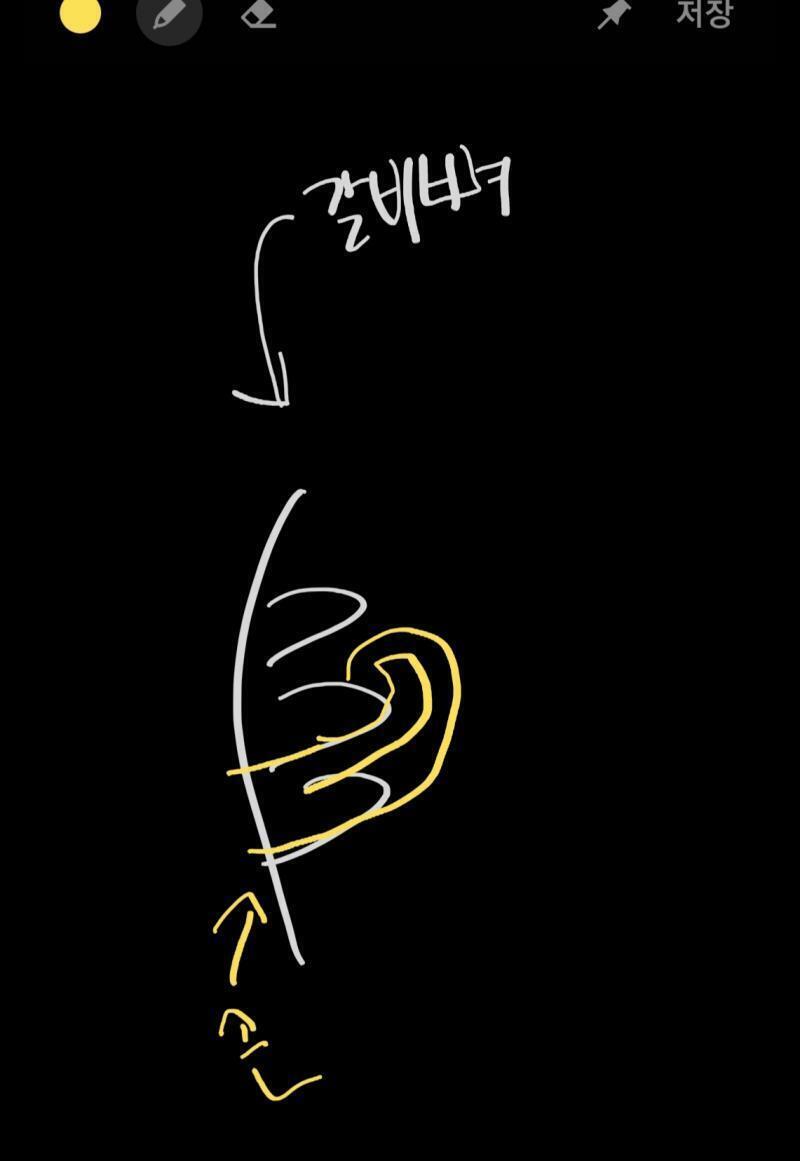 >>2 내가 그림을 잘 못 그려서 이해가 안될 수 있지만.. 그 몸 중심(배꼽) 쪽으로 갈비뼈가 나눠져 있잖아 오른쪽 왼쪽 그 나눠져서 뼈로?