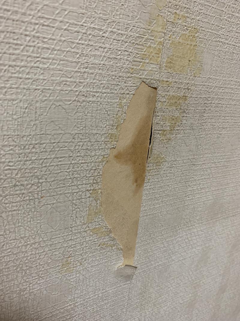 갑자기 이거 벽지 잘 떼어질까 궁금해서 커터칼로 원래 좀 뜯겨진 부분 살짝 갈라봤는데 그 안에는 회색 콘크리트 벽 같고 저 벽지떼어진 노란 부분