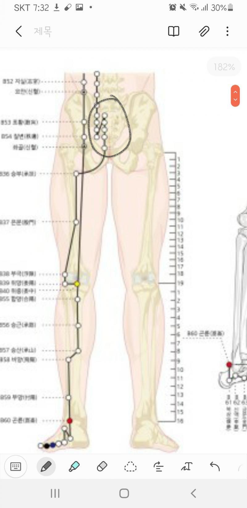 >>4 어.. 그 살짝 이 뼈가 튀어나온 느낌?