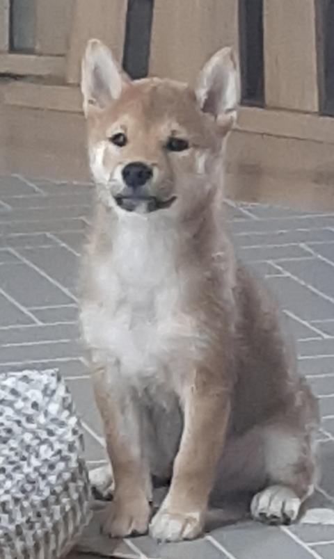 ์ด์ ์ ๊ธฐ๋ค ์ฌ์ด์ ์ธ ๋ง๋ด๊ฐ ๊ฐํ ๊ปด๋ ๋ ๊น?