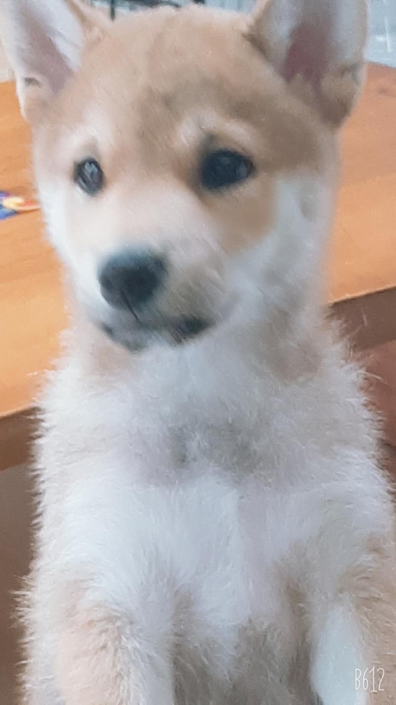 >>7 인데 지금은 많이 컸어!!~