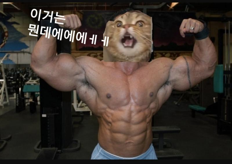 이거 가능합니까아아? 글자는 빼고..