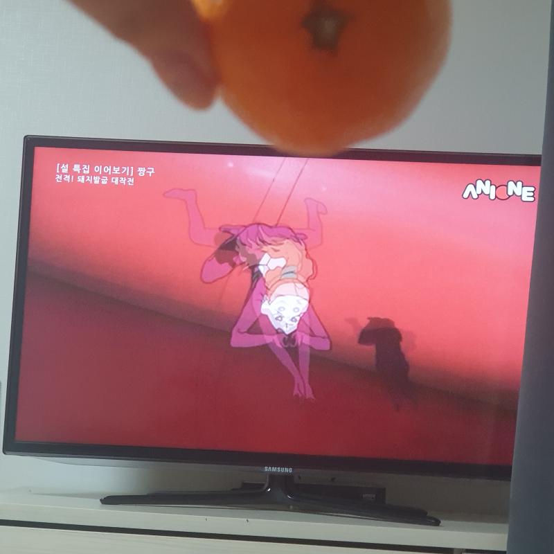 >>497 리히히 예약해둔거 기다릴동안 짱구보면서 귤먹는즁 돼지발굽 한 10년 넘은거같은데 히히히히