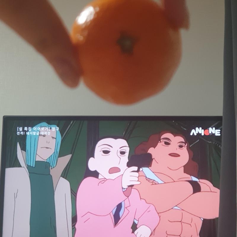 >>497 리히히 예약해둔거 기다릴동안 짱구보면서 귤먹는즁 돼지발굽 한 10년 넘은거같은데 히히히히