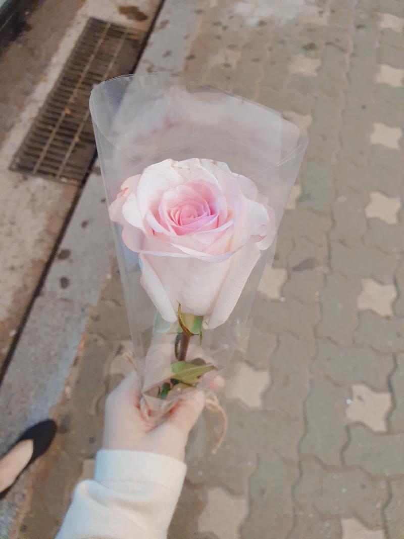 미래. 막연한 완벽함.