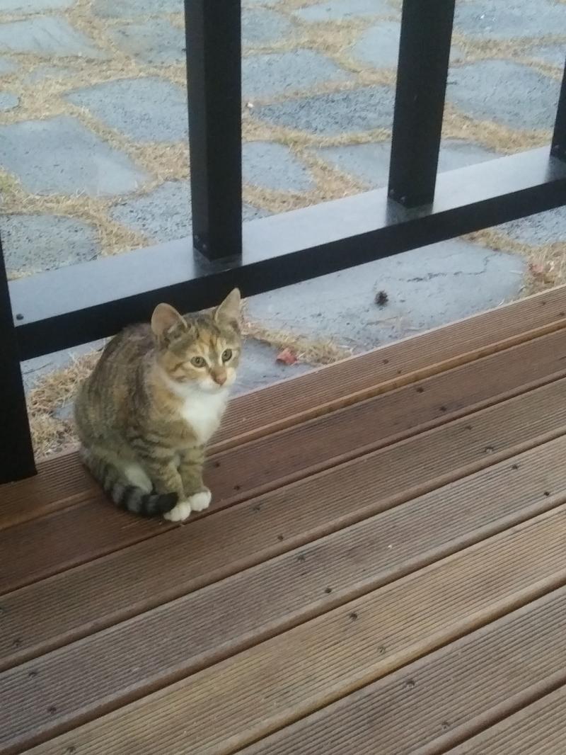 우리교회 옹냥이 옹냥옹냥옹냥