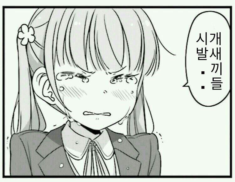 이쯤되면 내 자소서가 문제인지 이력서가 문제인지 현타가 옴 씨발새끼들...ㅠㅠㅠㅠㅠ