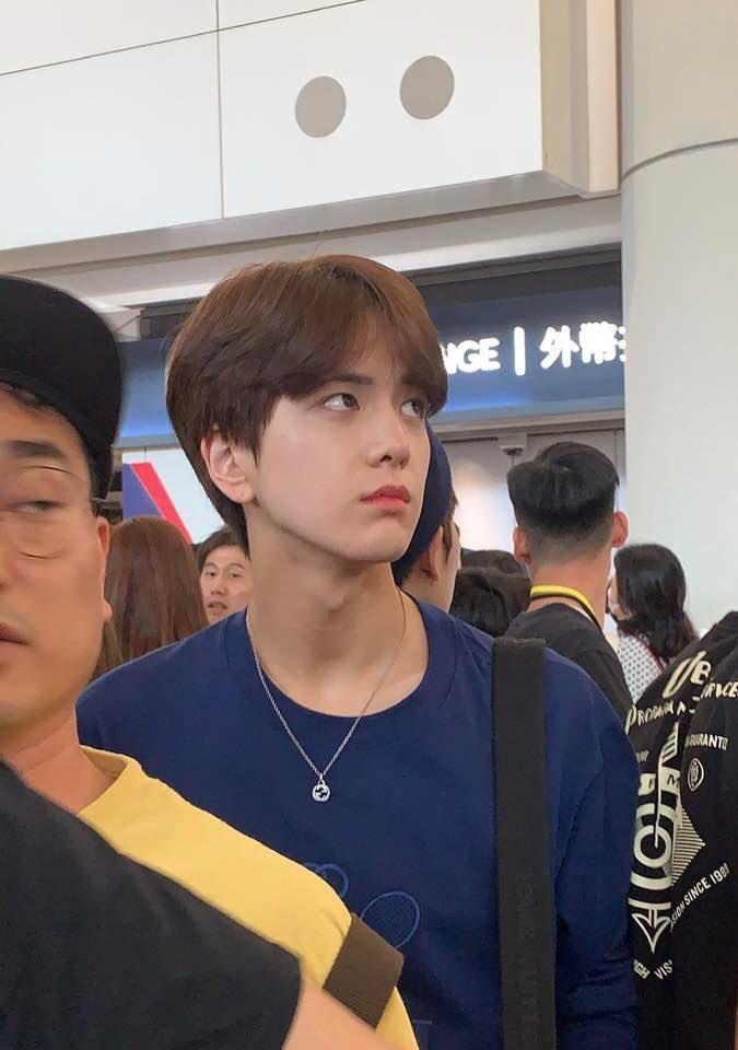 폰카짤
