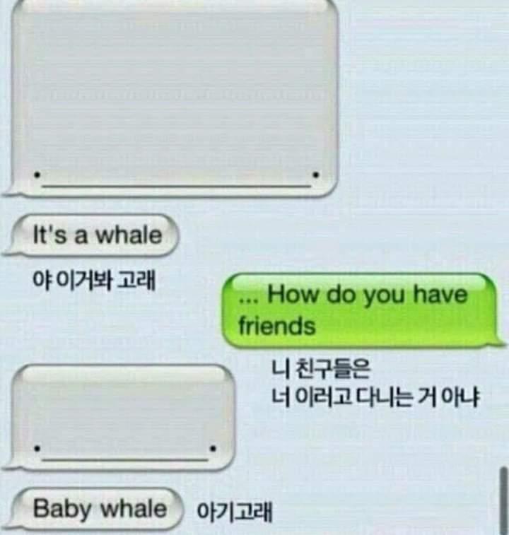 애기고래