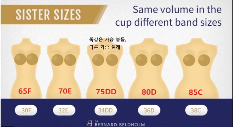 >>15 이렇게 또 다른 한명에게 올바른 상식을 얻게 해드렸습니다! 여기 사진에서는 모두다 같은 볼륨의 가슴을 갖고 있지만 브라 사이즈는 천차만