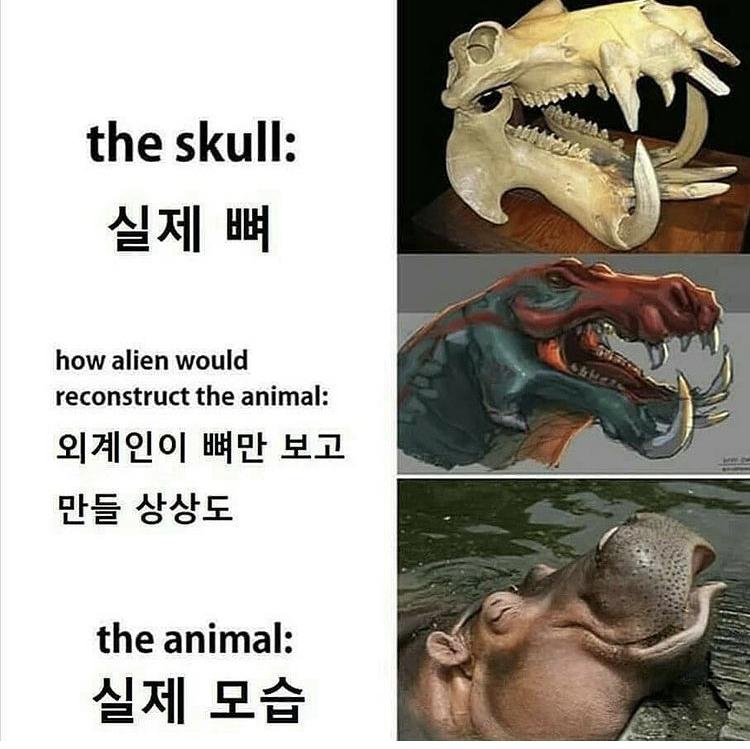 히히