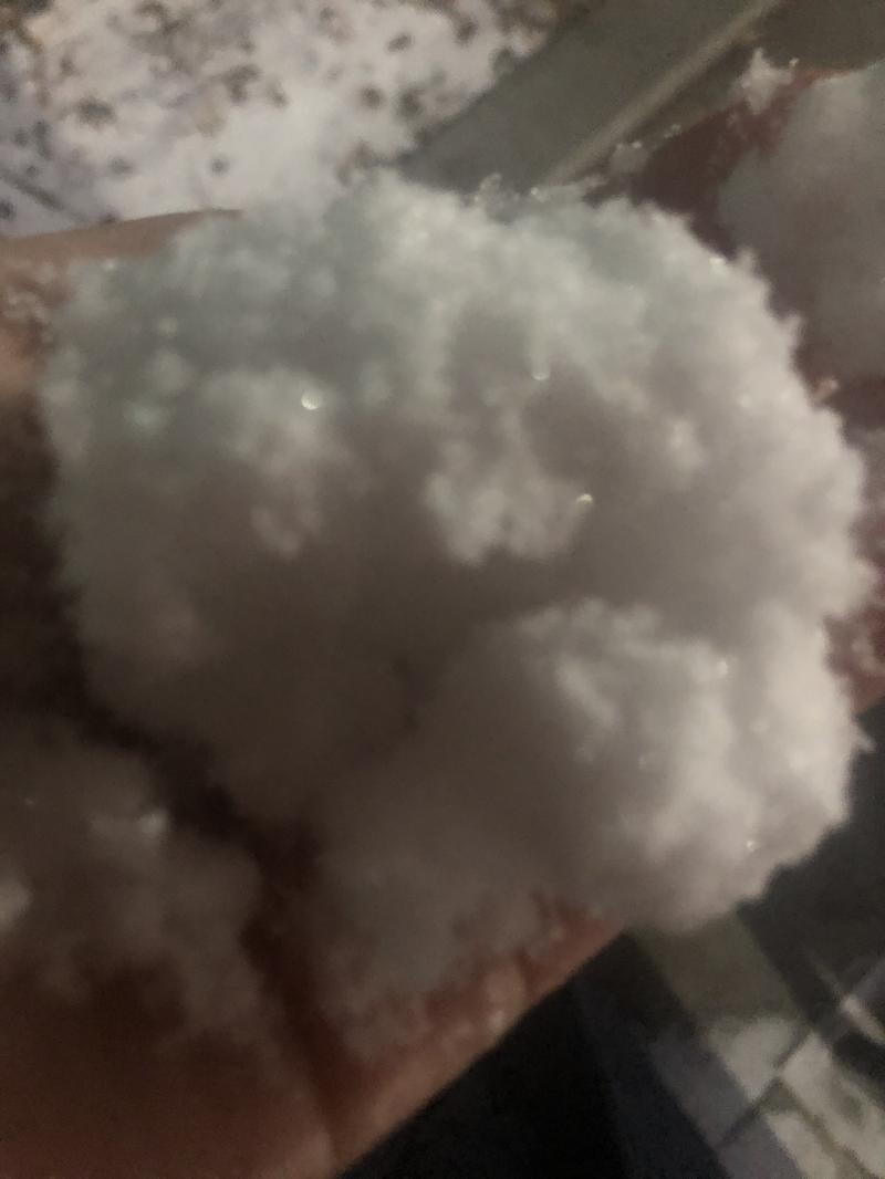 눈을 만져봤어요 동상걸릴뻔 #snow