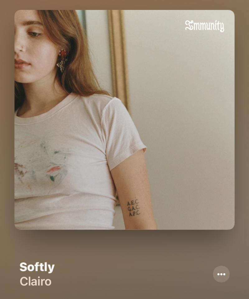 โ๏ธ Clairo - softly ์ฝ๊ฐ ๋ธ์ด๋ก๊ทธ ์ธํธ๋ก์ ๊น๋ฆด ๊ฒ ๊ฐ์ ๊ฐ์ฑ