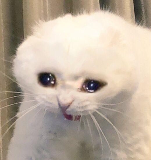 >>203 >>206 레주도 짤줍해