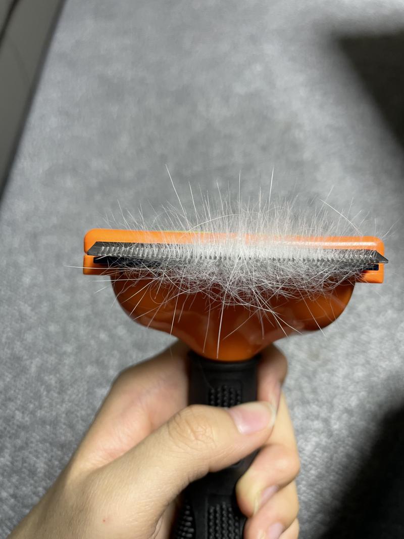 이거보다 더 많이 계속나와..