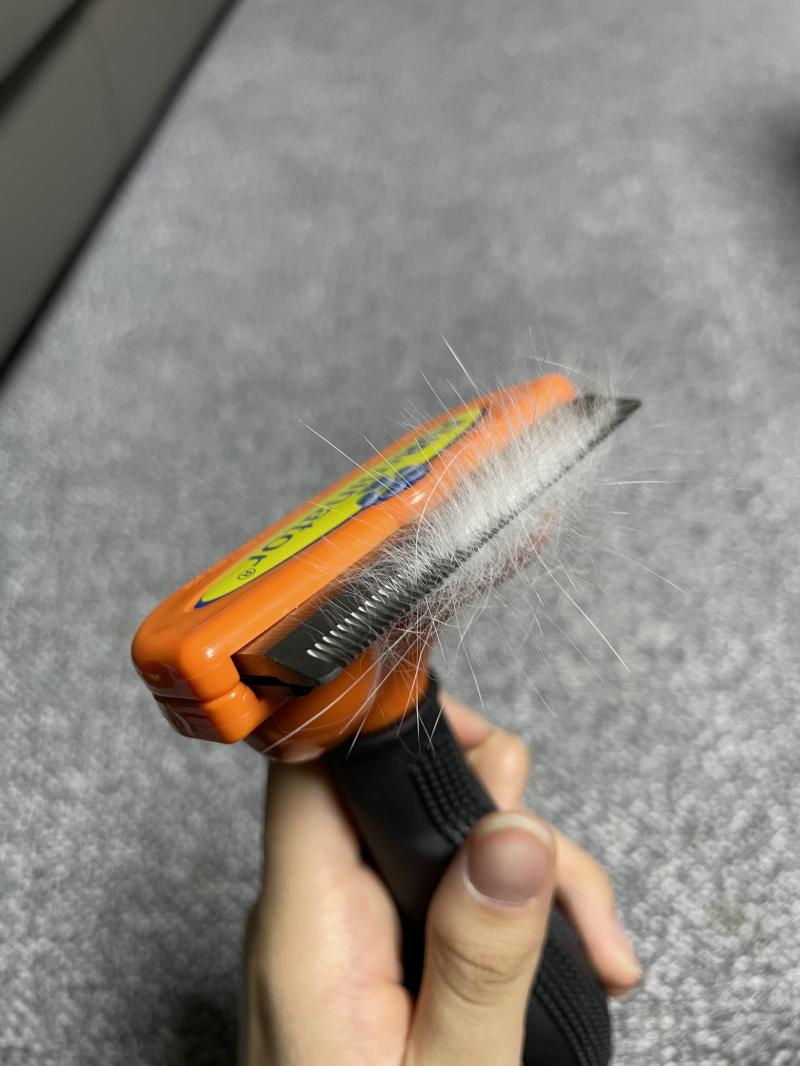 이거보다 더 많이 계속나와..