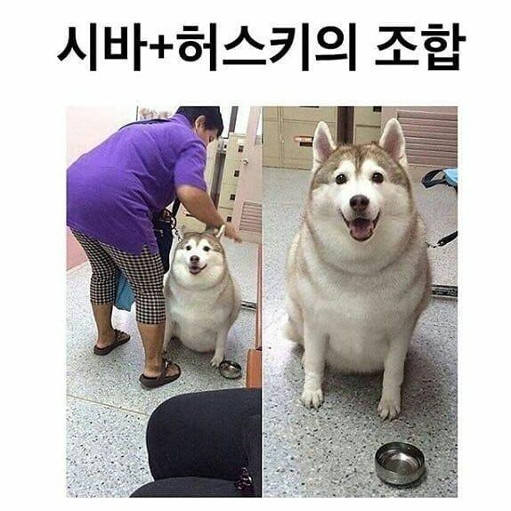 ์๋ฐ์คํค