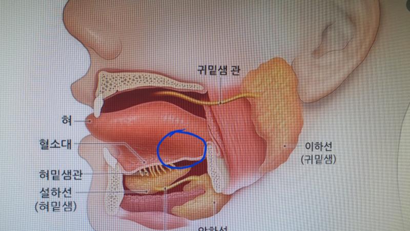 저 위치야 징그러운거 없어!
