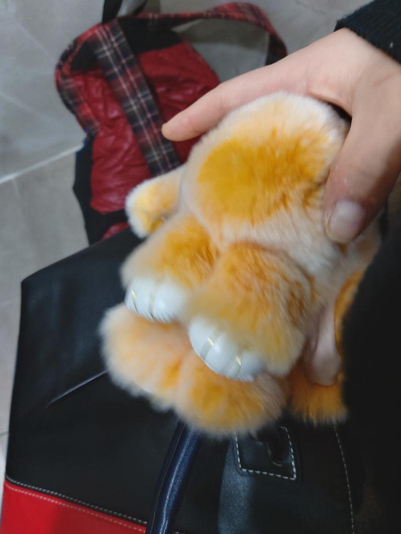 뽀시래기
