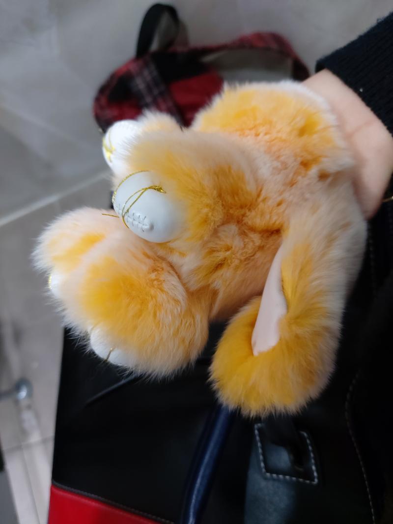 뽀시래기