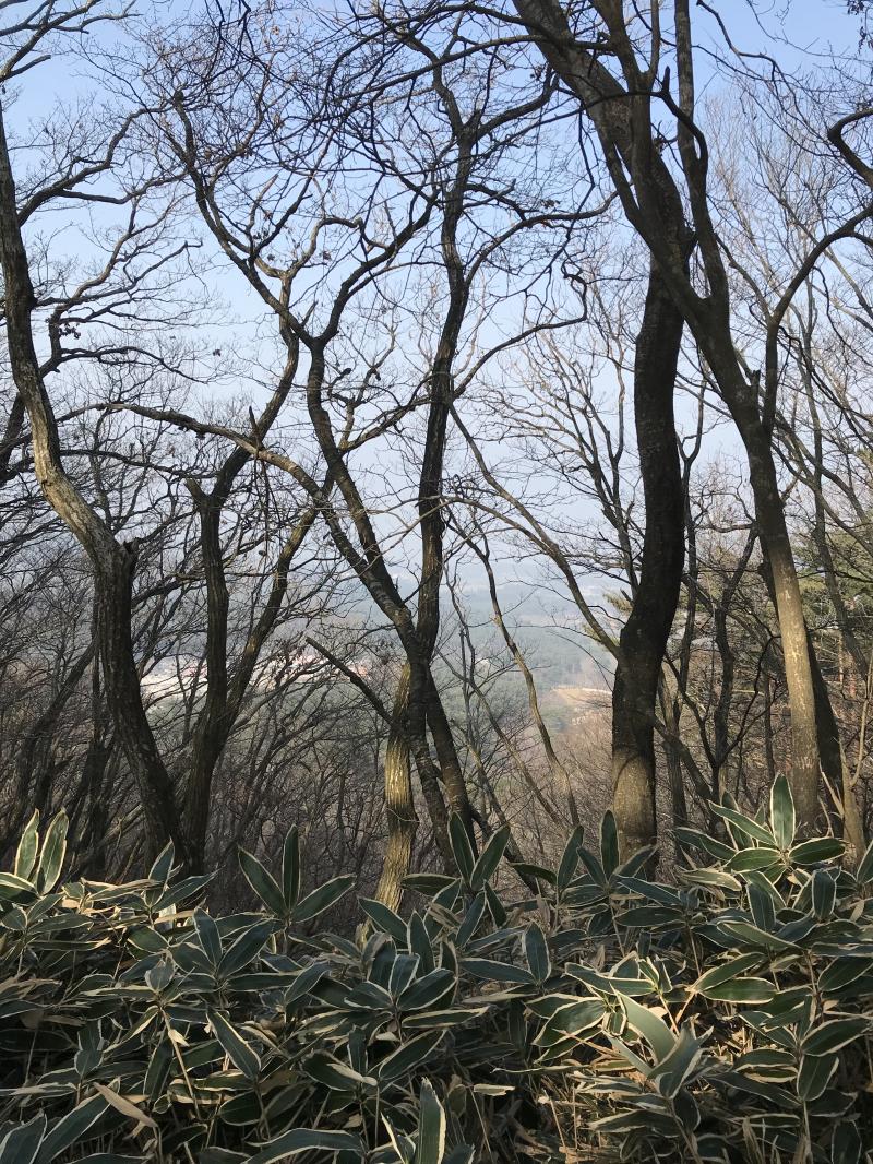 처음엔 좀 당황스럽긴 하겠다 근데 나중에는 나랑 친해지고 싶은가보다! 하면서 그냥 받아줄 것 같아
