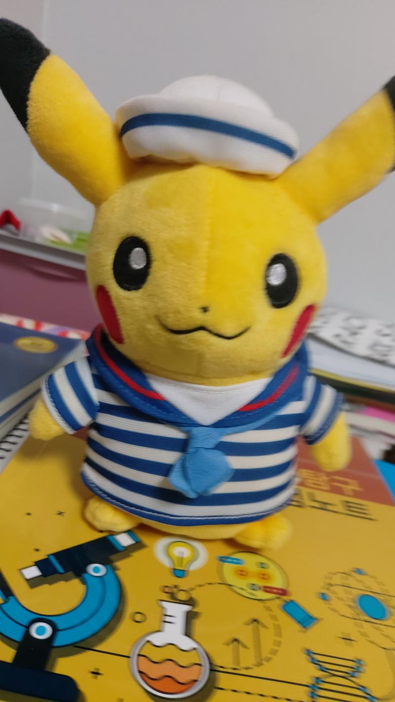 우리 집 피카죽 인형