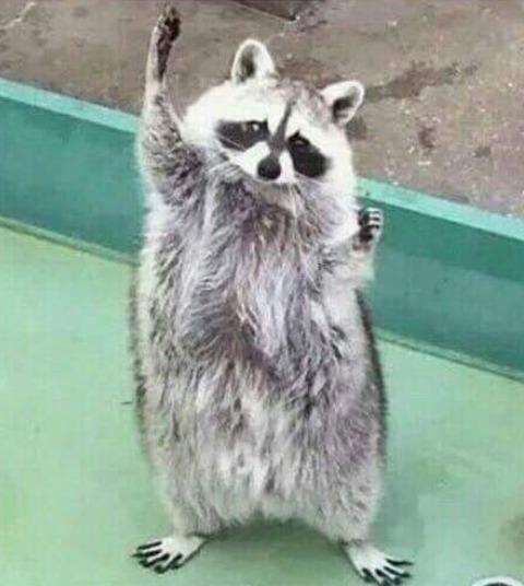내용 값은 필수입니다.