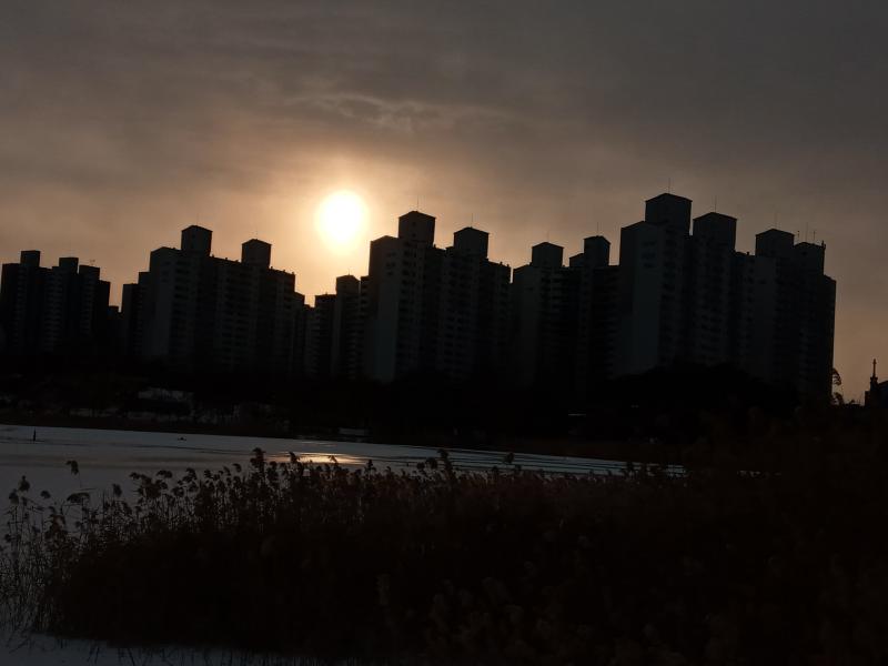 그렇다면 나는 처음 보는 사람아 나에게 말을 걸었기에 쌀쌀맡게 대하였지만 의문이 들 것 같아 나처럼 존재감 없는 사람에개 왜 아는척을 한 거지?