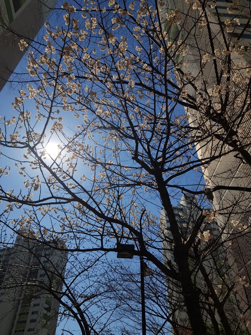 그냥 맨 처음으로 그 사람이 갑자기 사라졌다는 것에 대해 부정할거 같아. 그리고 그 다음은 내가 무슨 잘못을 해서 그 사람이 잠수를 탔나? 하며
