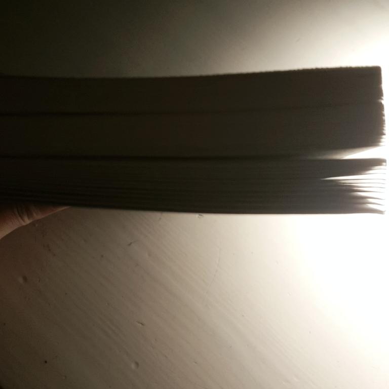 >>104 이거 지문 아니고 사실 일케 긴 책이야... 챕터 1 읽으면 돼지는 나오겠지...? 후