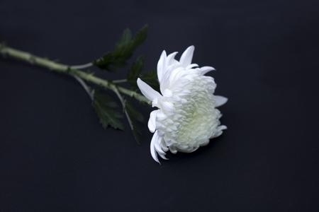 끊임없이 회상하며 죽었나 내가 안 잡아서 무슨 일이 생긴 건가 잠수 이별인가 생각할 거 같아요..