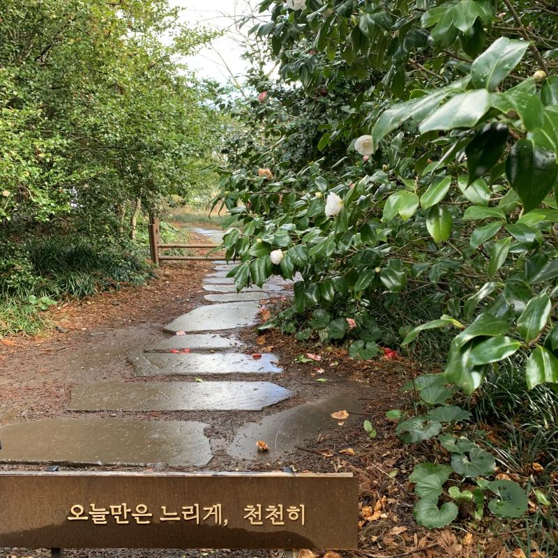 음.. 사소한 행운을 주기 위해 왔다고 했으니 삶을 살아가는 것에 대해 어떠한 도움의 메시지가 담겨있을 것 같아!
