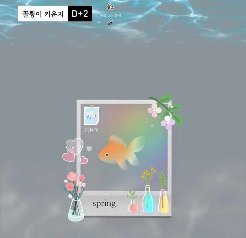 다 같이 물고기 키우자!!