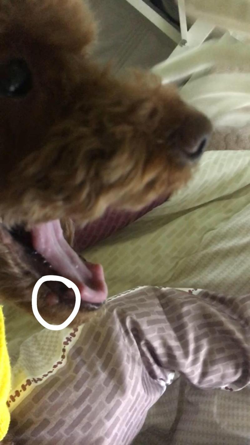 이거야 ㅜ