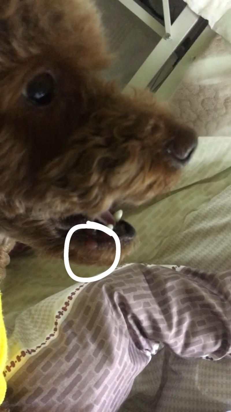 이거야 ㅜ