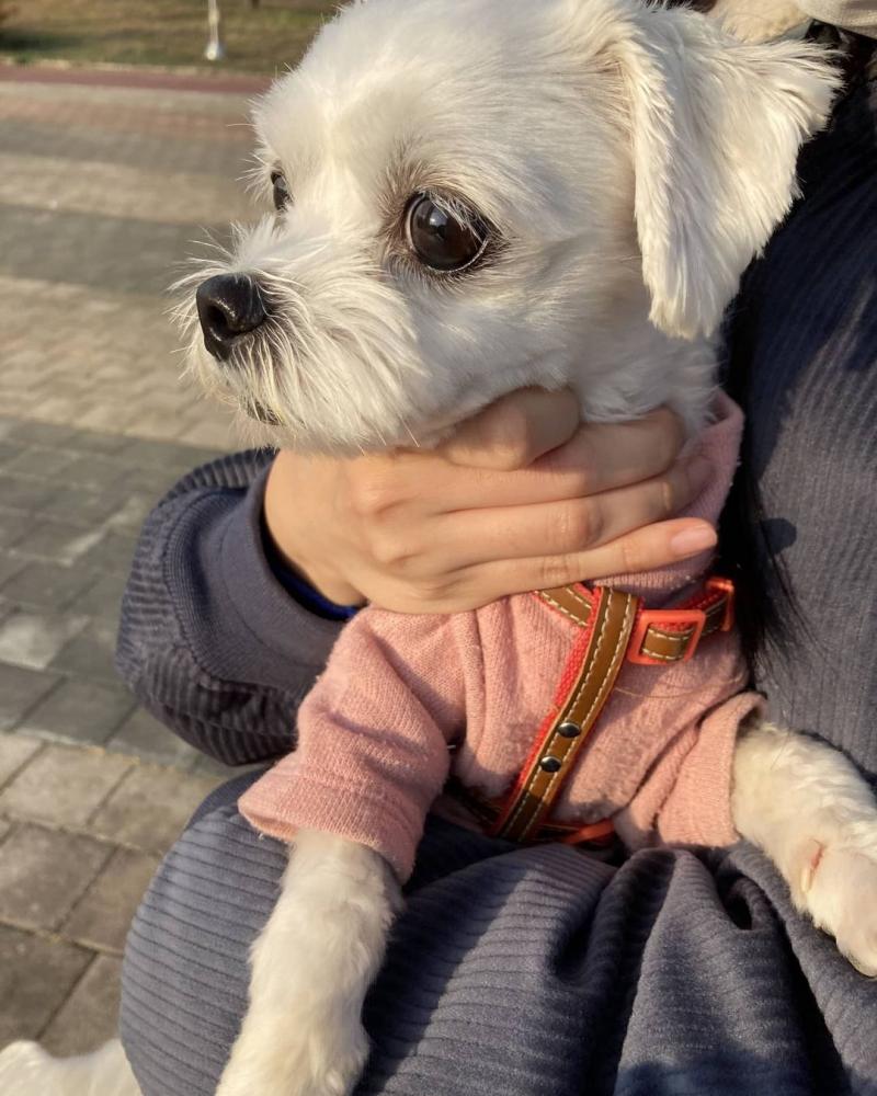 우주가 너무 귀엽습니다..........