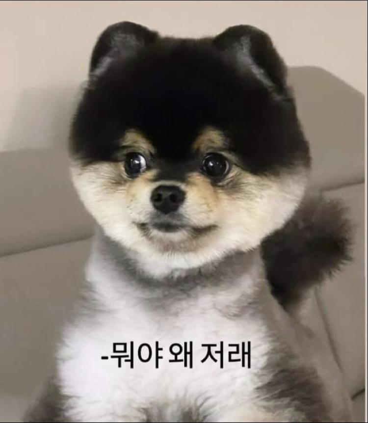 >>339 얘기엽지... 어떤 유튜버분이 짤로 쓰라고 하셔서 간직하그잇어