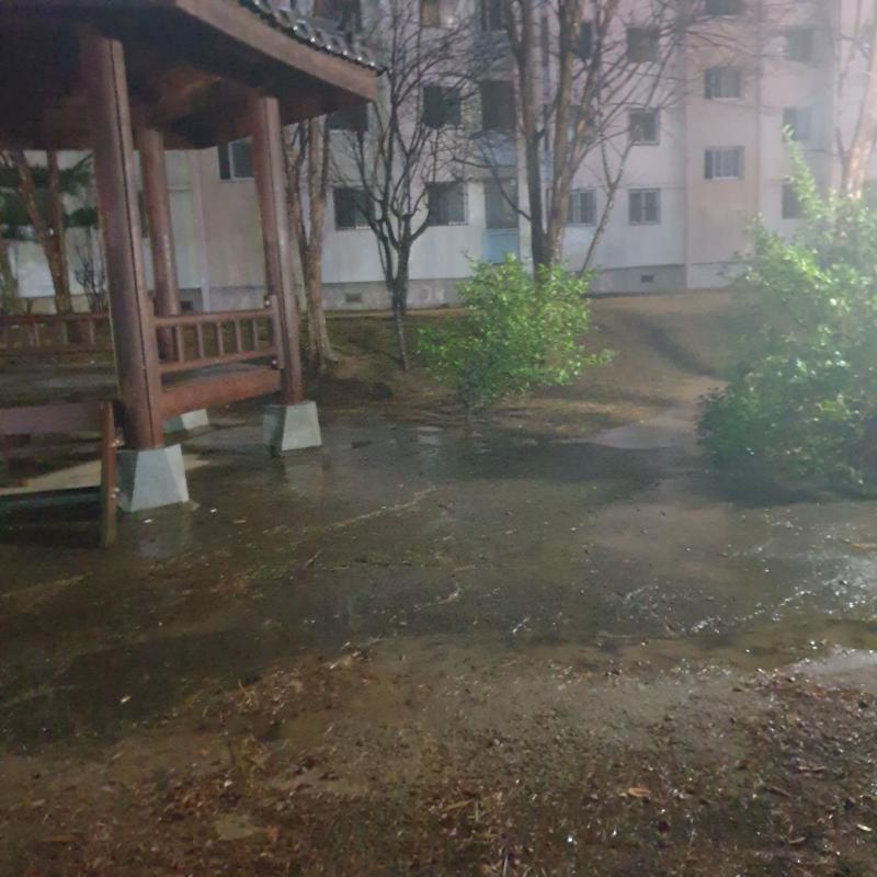 담을 넘었어 어디로 갈까?