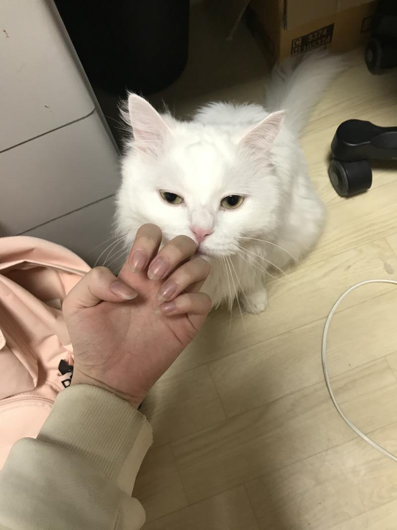 이거봐... 너가 지저분하면 난 .....