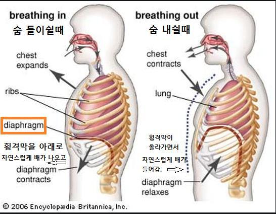 .근데 이것만 보면 아니 그럼 배에서 나는 소리는? 그건 뭔데? 복성? 이럴수도 있을것 같아서 미리 알려주자면, 그건 호흡법이야. 한국에서는 배