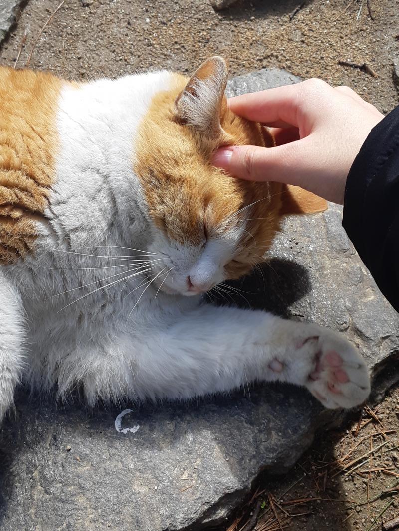 질뮤 해도 될까? 난 이제 신입생이고 같은 학교 24살 오빠랑 친구사이로 잘 지내고 싶어!(살짝 게이?일수도 있을거 같아. 잘은 모르겠지만.. 