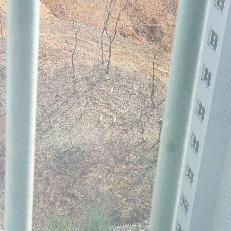 애기들..자유롭구나..